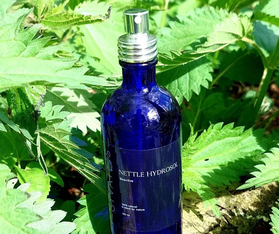 Blue bottle of nettle hydrosol